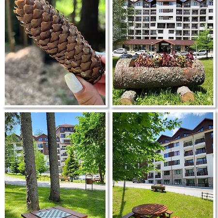 The Green Apartment Боровец Экстерьер фото