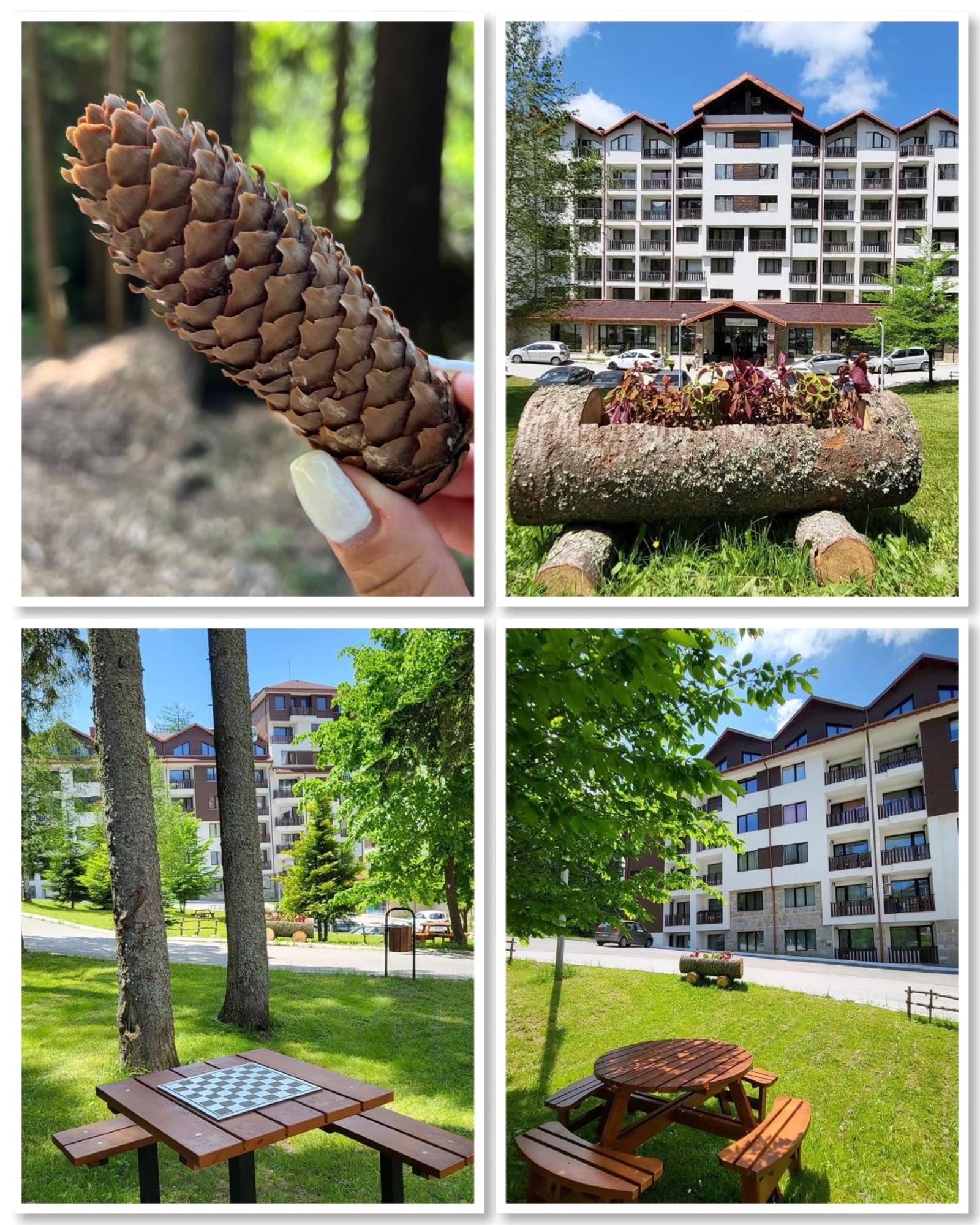 The Green Apartment Боровец Экстерьер фото